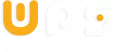 Web Panel Solutions